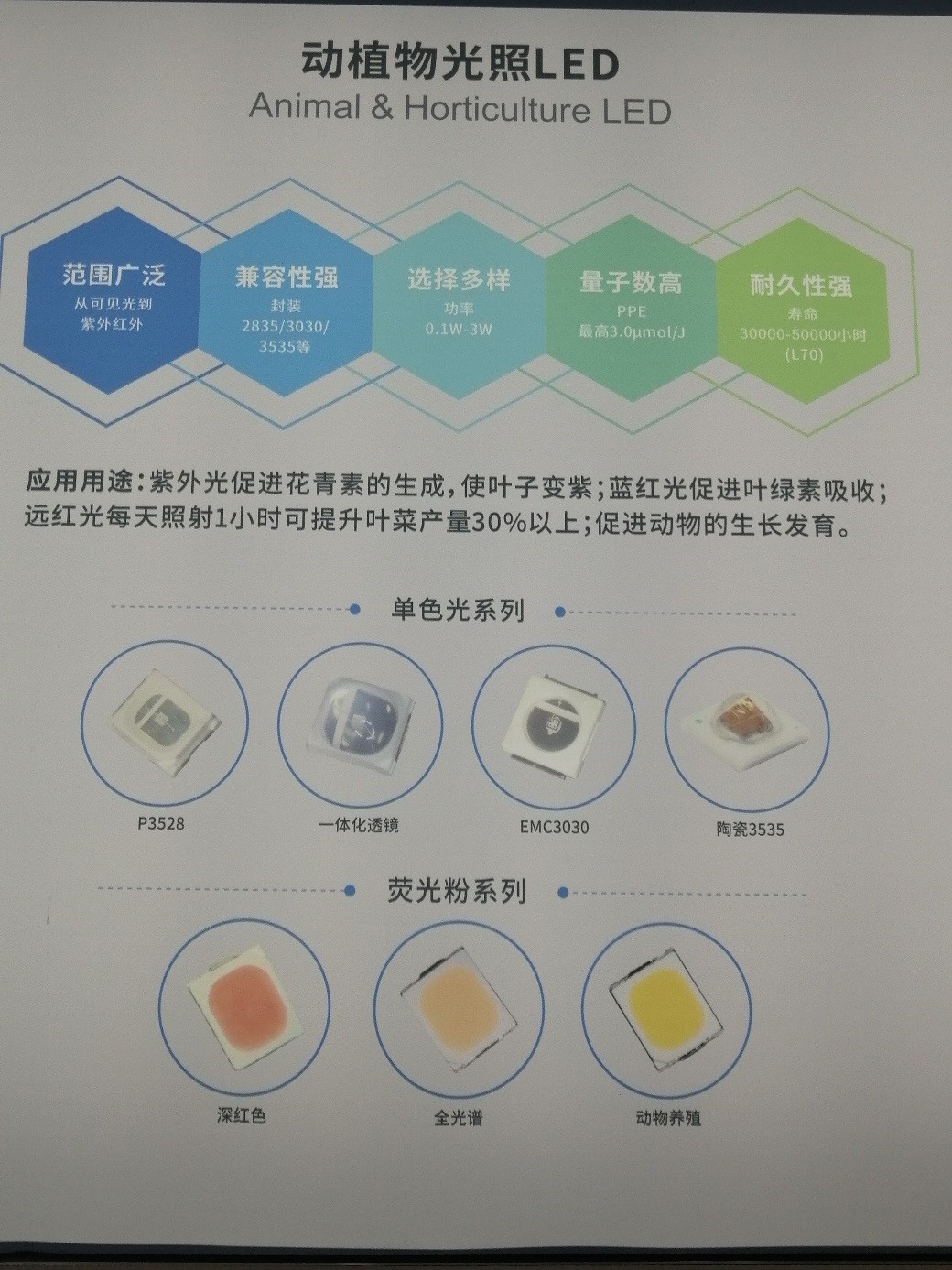 尊龙(Z6)官网-人生就是赢
