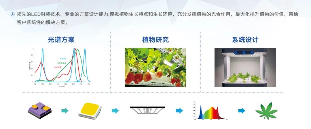 尊龙(Z6)官网-人生就是赢