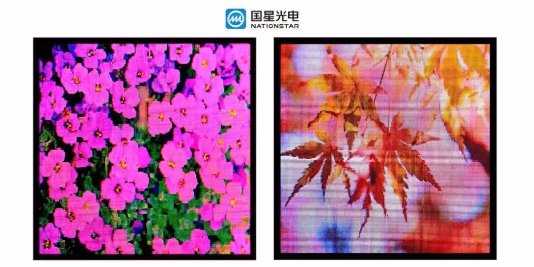 尊龙(Z6)官网-人生就是赢